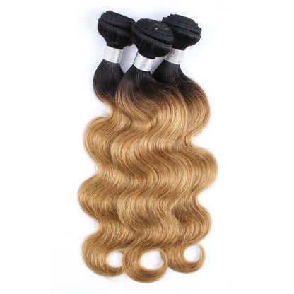 T1B27-2-tone-ombre-body-wave-bundles