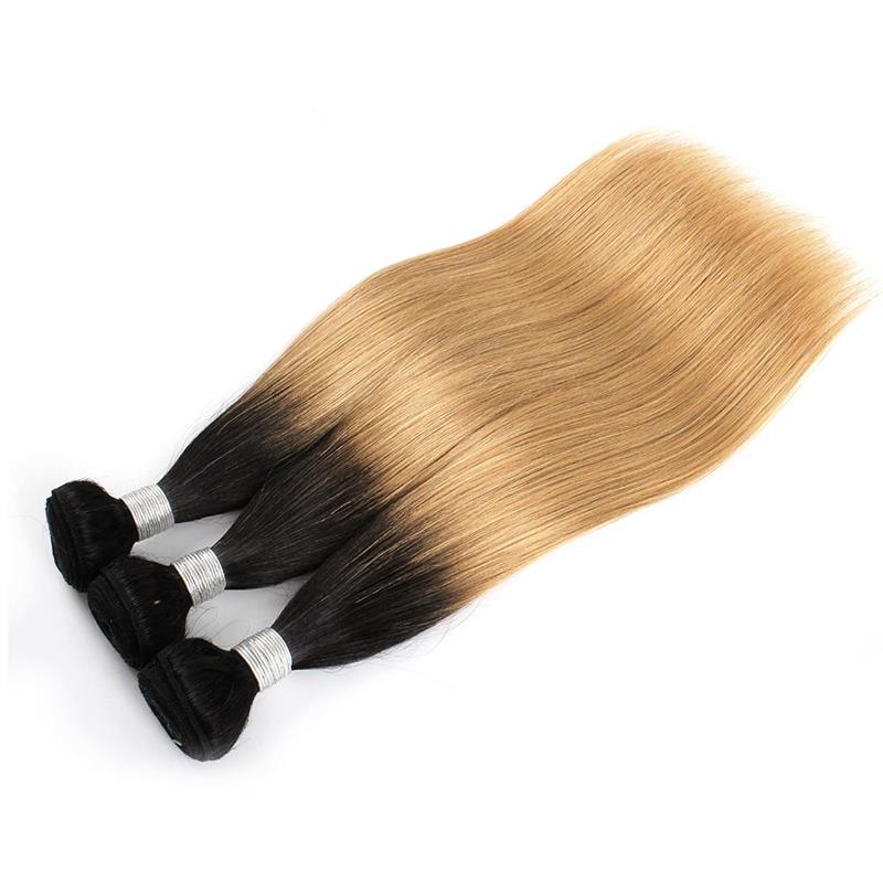 T1B27 2 tone ombre honey blonde bundles
