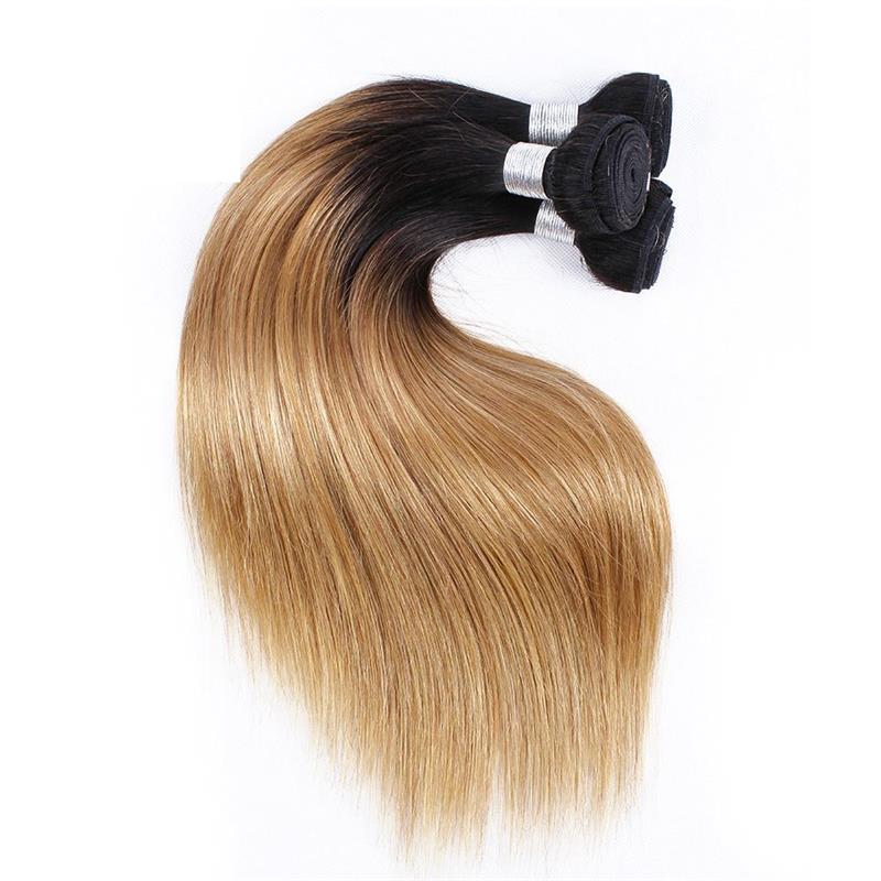 T1B27 2 tone ombre honey blonde bundles