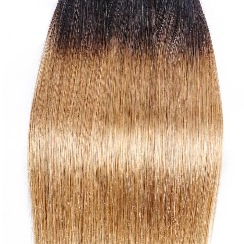 T1B27 2 tone ombre honey blonde bundles